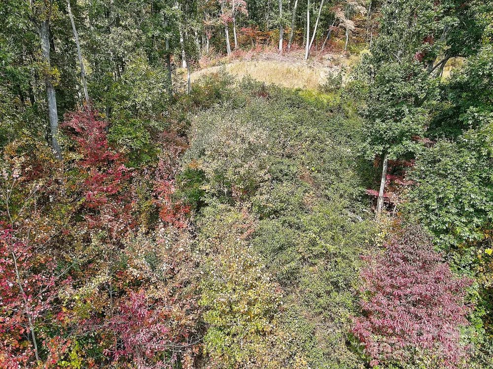 000 High Rock View Drive #32 Canton, NC 28716