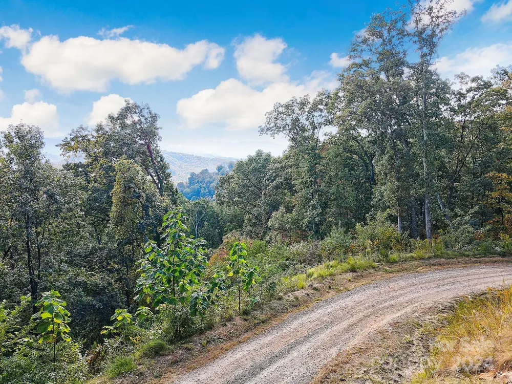 000 High Rock View Drive #32 Canton, NC 28716
