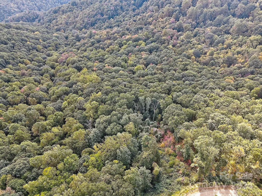 000 High Rock View Drive #32 Canton, NC 28716