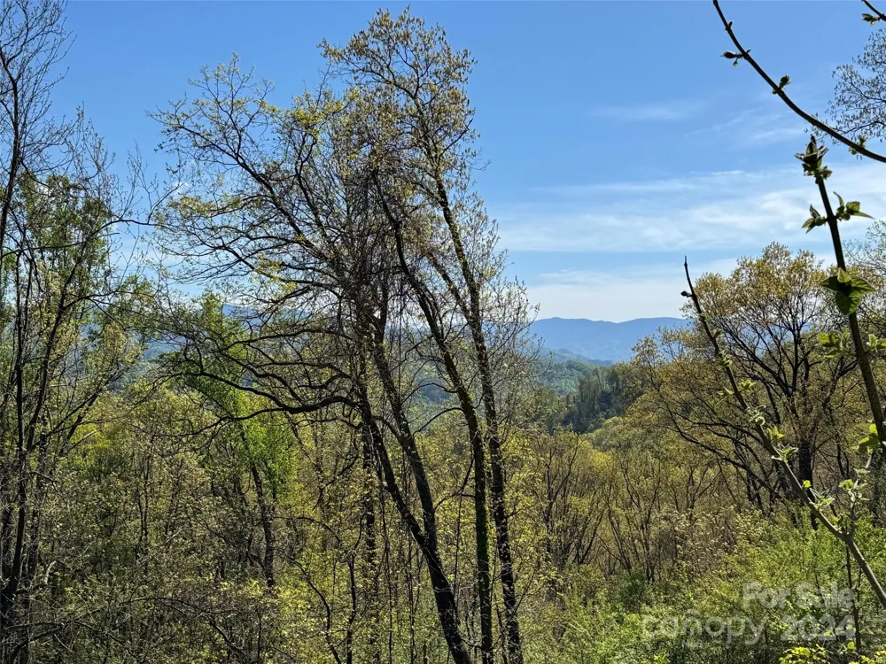 000 High Rock View Drive #32 Canton, NC 28716