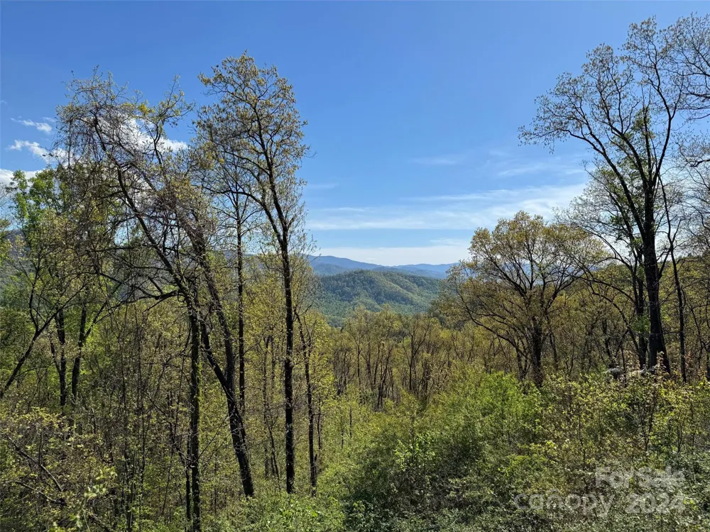 000 High Rock View Drive #32 Canton, NC 28716
