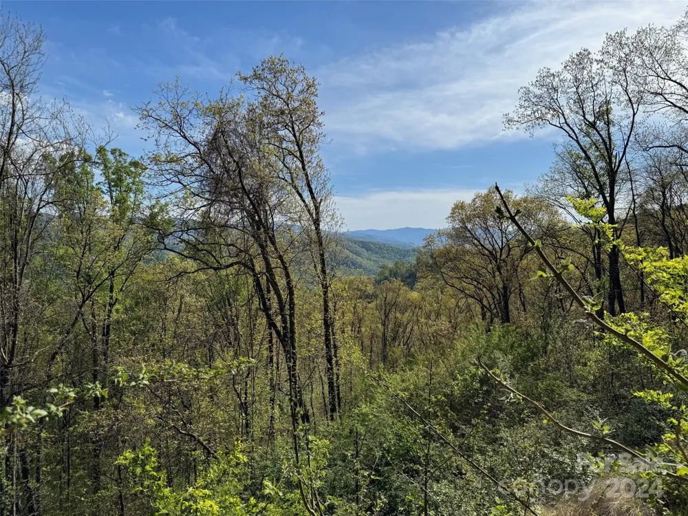 000 High Rock View Drive #32 Canton, NC 28716