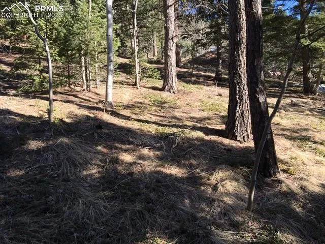 6800 Eagle Mountain Road Manitou Springs, CO 80829