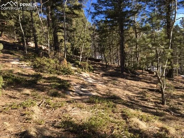 6800 Eagle Mountain Road Manitou Springs, CO 80829