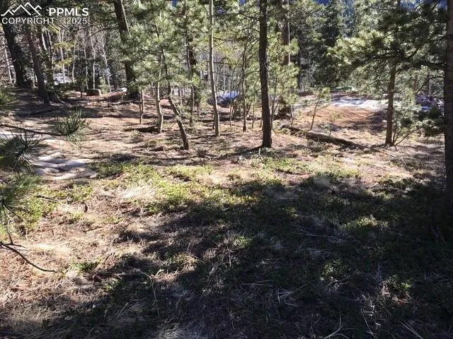 6800 Eagle Mountain Road Manitou Springs, CO 80829