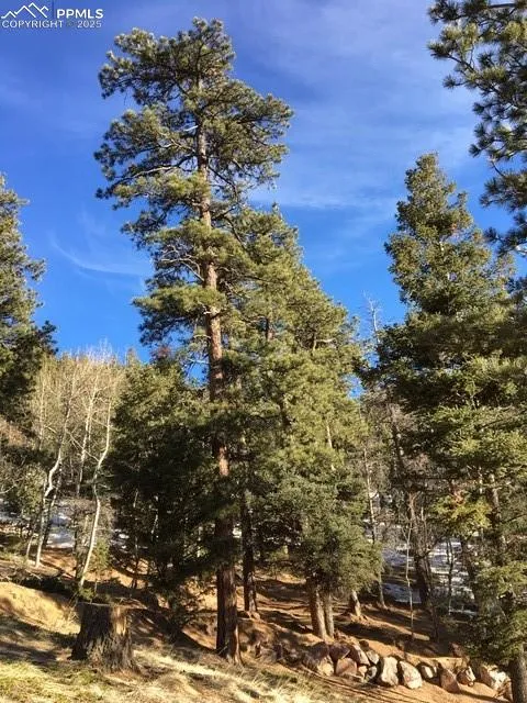6800 Eagle Mountain Road Manitou Springs, CO 80829