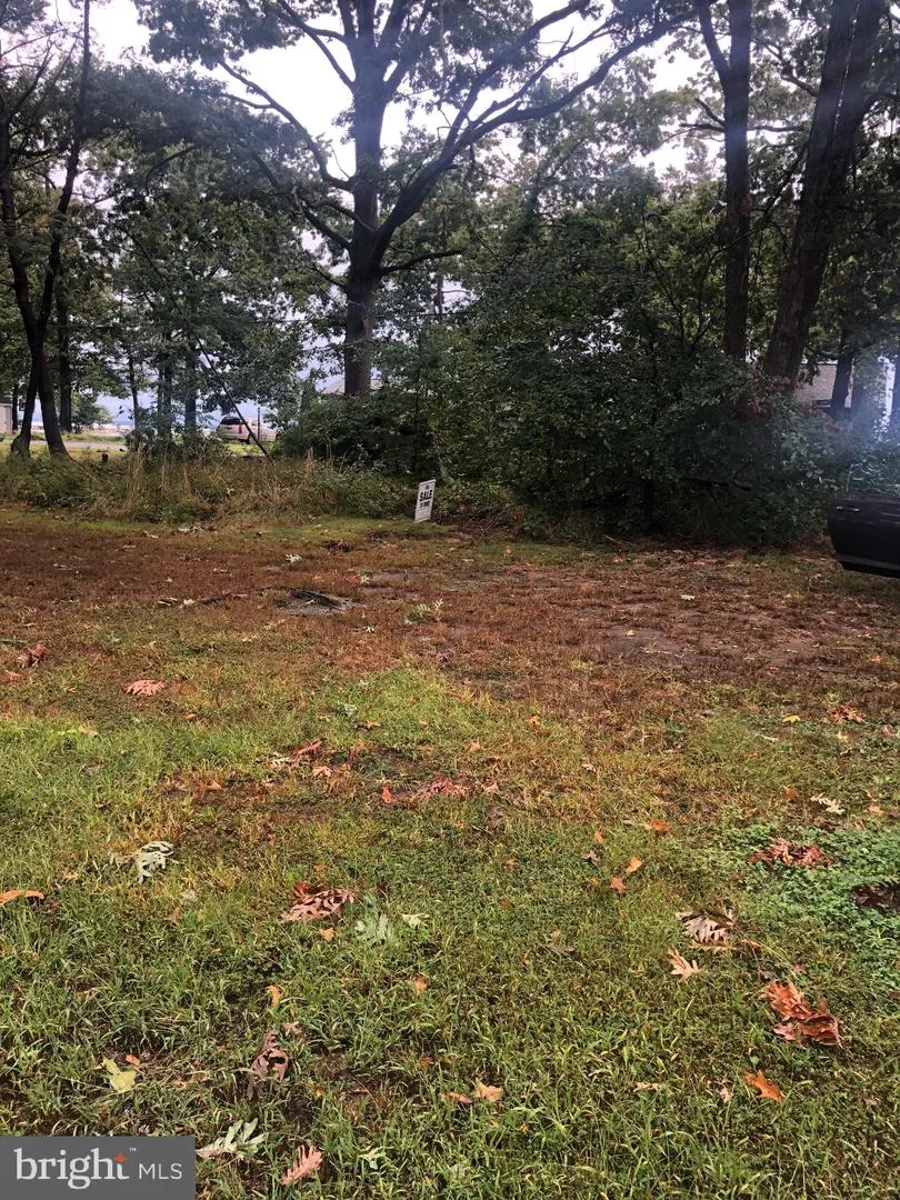 5250 AL JONES DRIVE Shady Side, MD 20764
