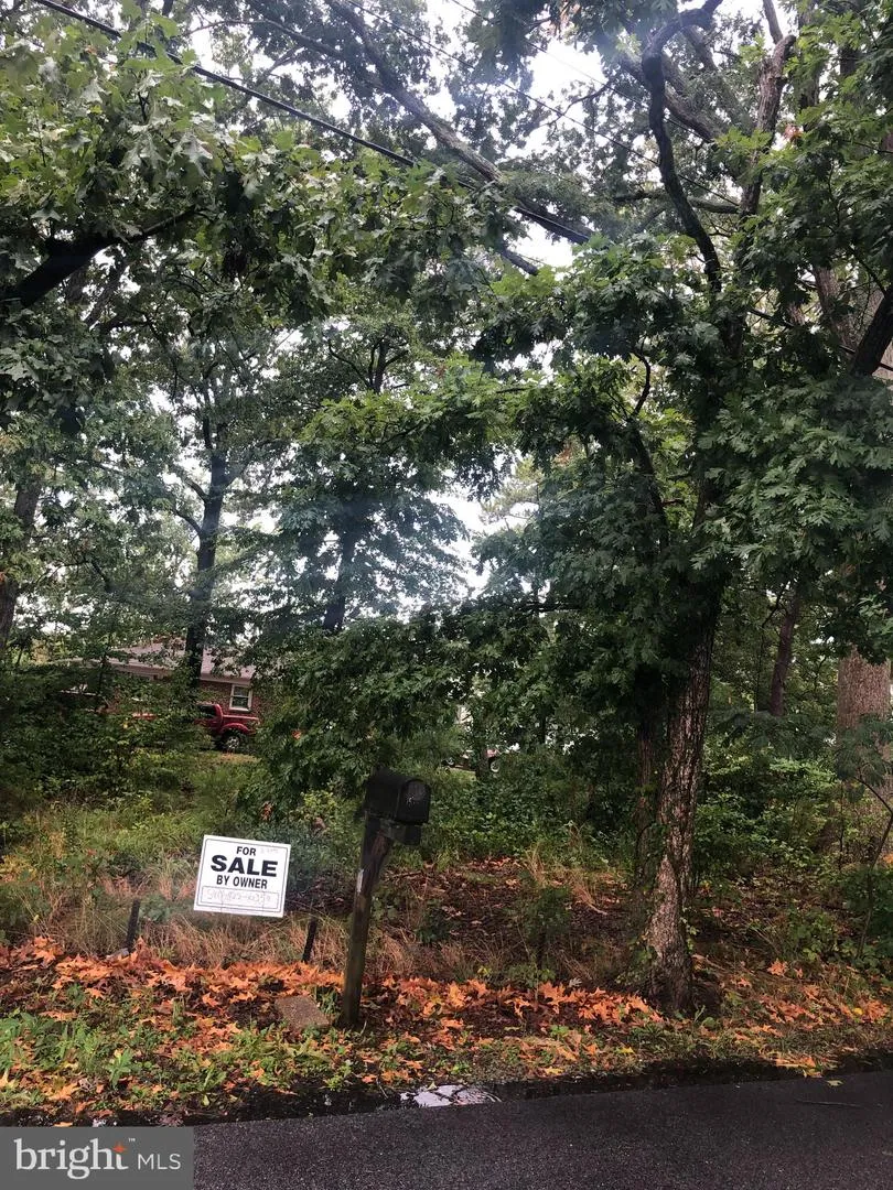 5250 AL JONES DRIVE Shady Side, MD 20764