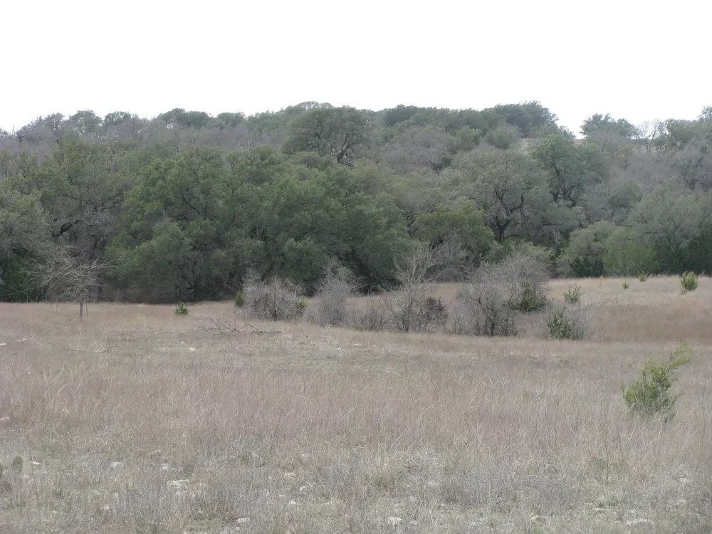 48 Harmon Road Copperas Cove, TX 76522