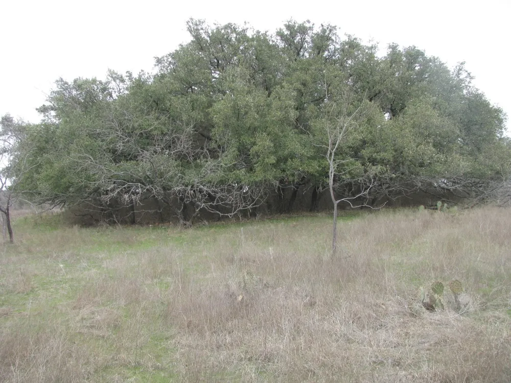 48 Harmon Road Copperas Cove, TX 76522