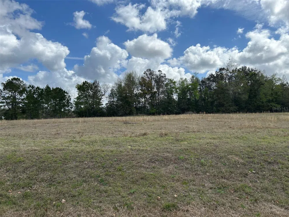 NW 104TH TERRACE Alachua, FL 32615