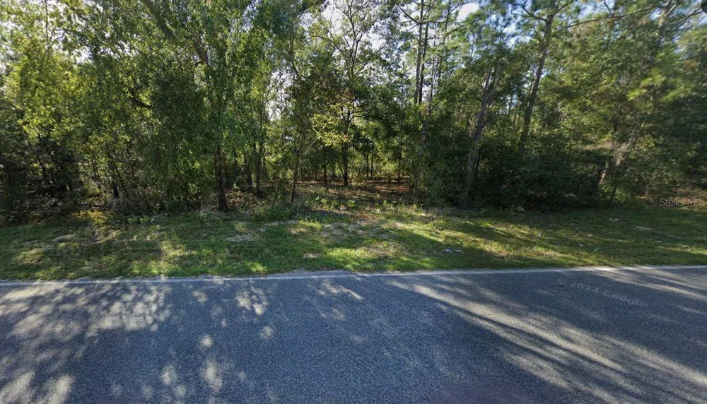 465 BADEN POWELL ROAD Hawthorne, FL 32640