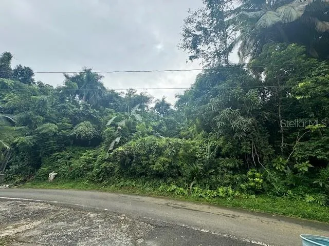 175 BO SAN ANTONIO Caguas, PR 00725