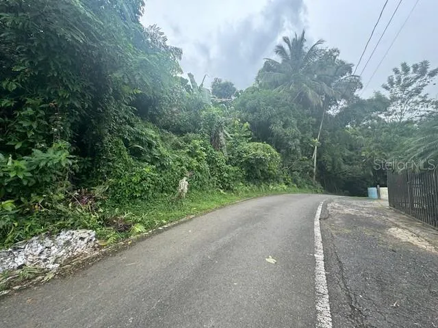 175 BO SAN ANTONIO Caguas, PR 00725