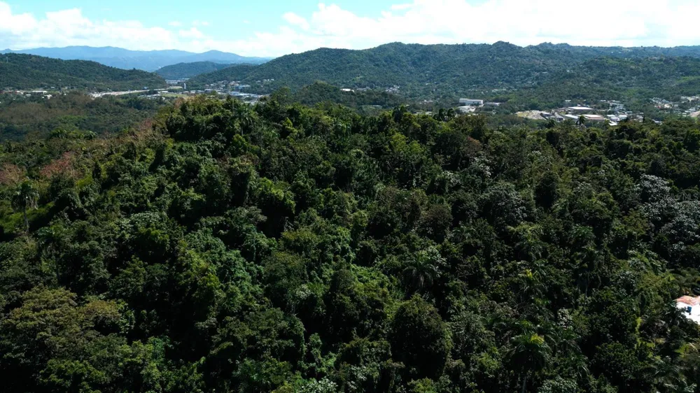 175 BO SAN ANTONIO Caguas, PR 00725