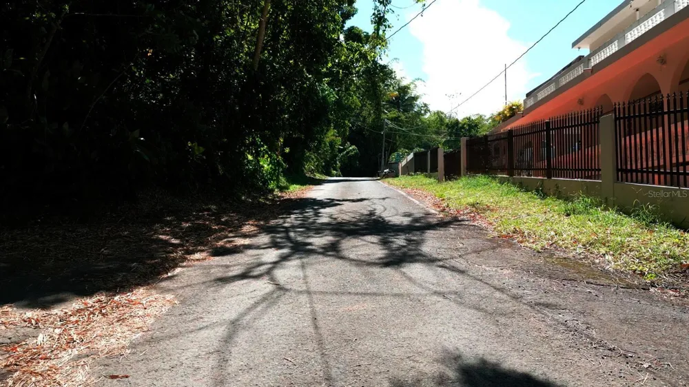 175 BO SAN ANTONIO Caguas, PR 00725