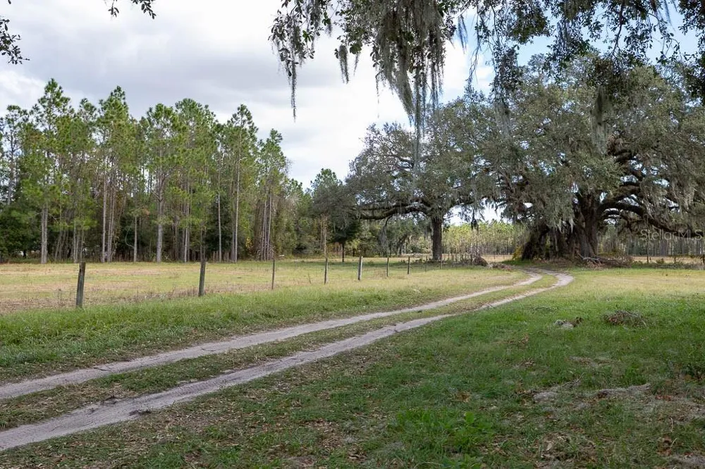 993 CR 722 Webster, FL 33597