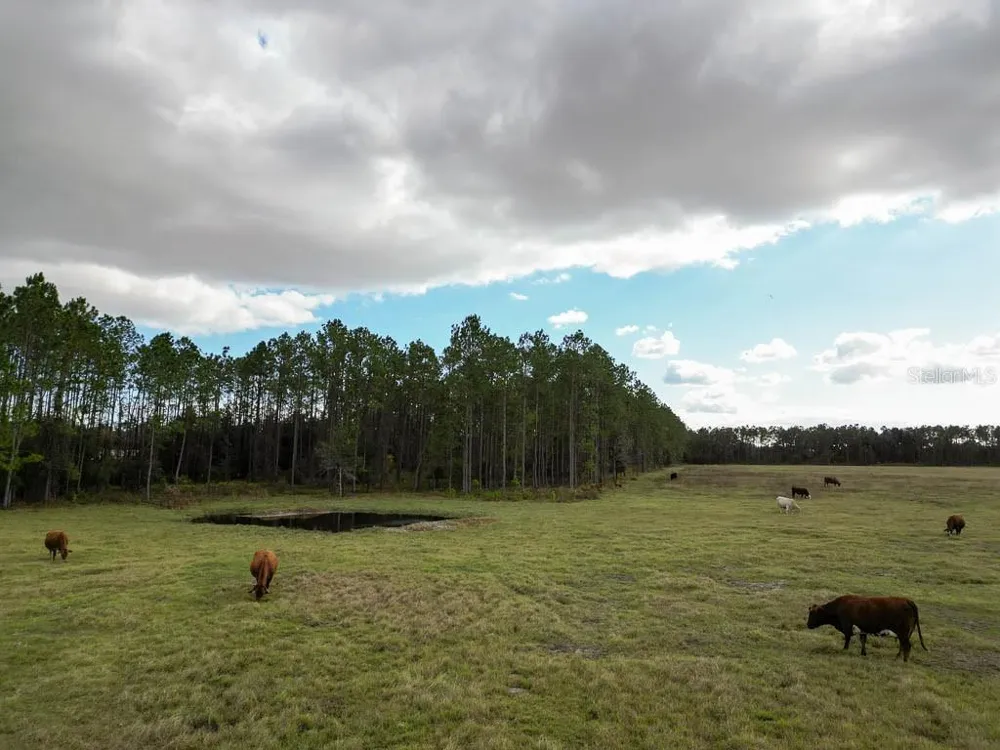 993 CR 722 Webster, FL 33597