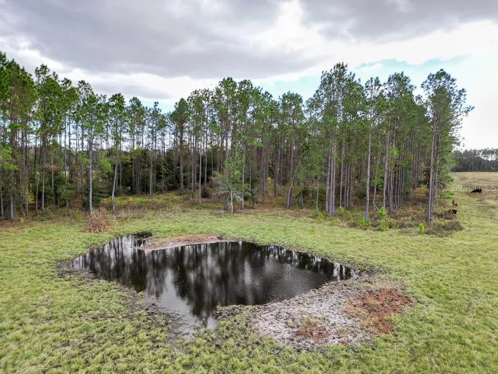 993 CR 722 Webster, FL 33597