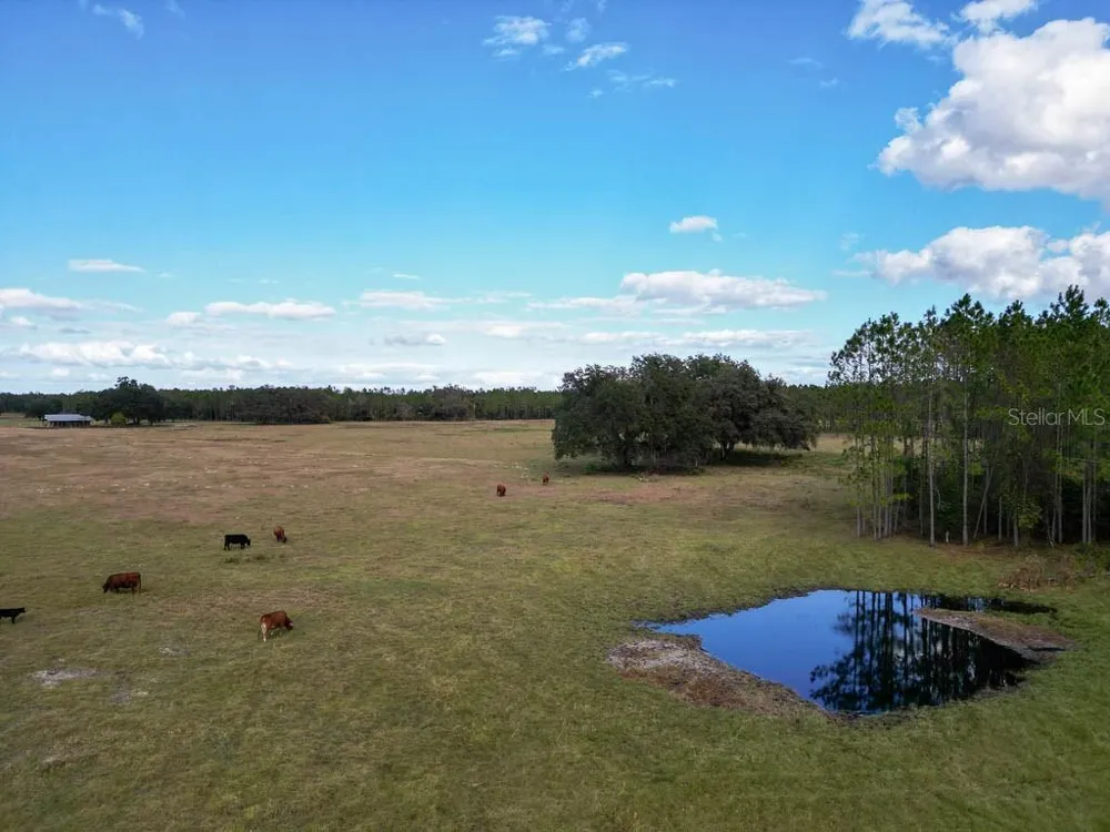 993 CR 722 Webster, FL 33597
