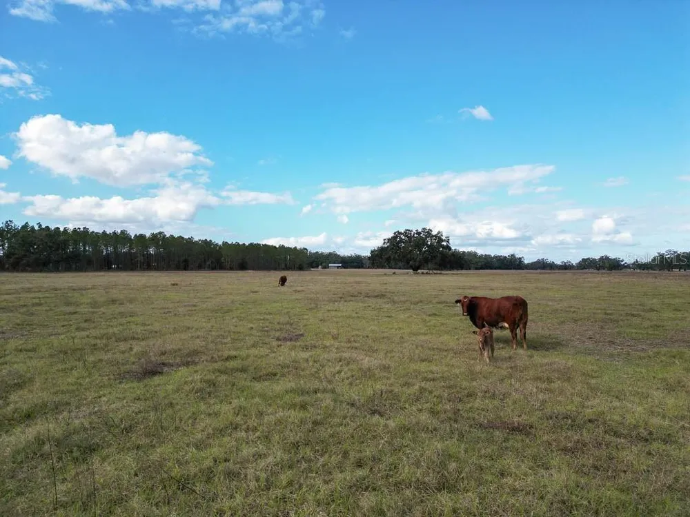 993 CR 722 Webster, FL 33597