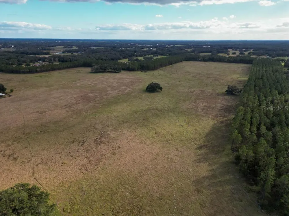 993 CR 722 Webster, FL 33597