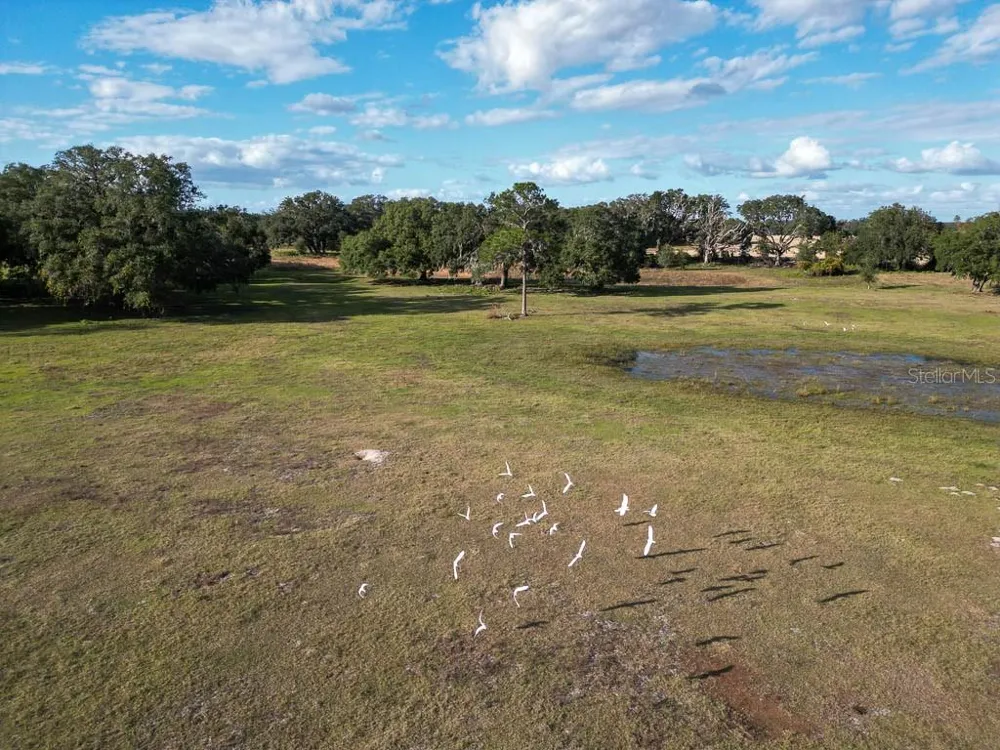 993 CR 722 Webster, FL 33597