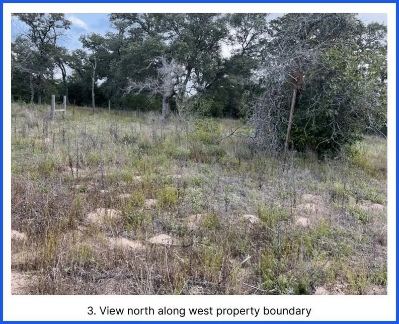 205 Beehaven Lane Road Seguin, TX 78155