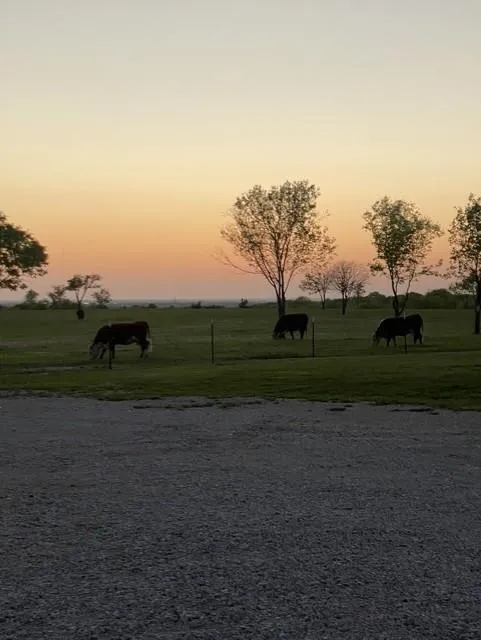 McConnell Road Gunter, TX 75058
