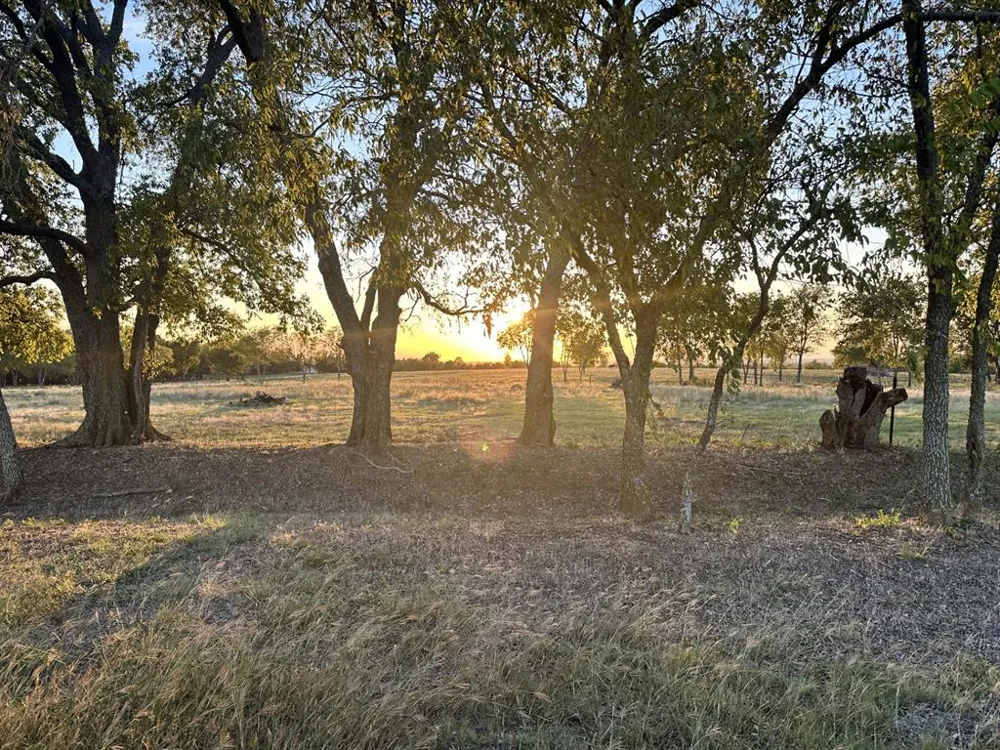 McConnell Road Gunter, TX 75058