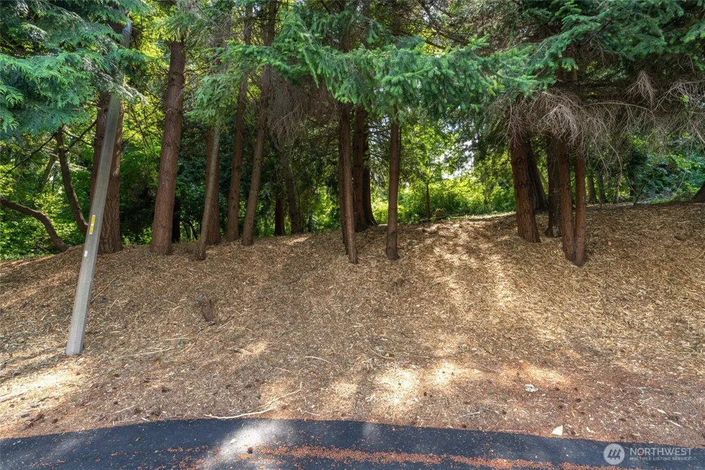 4224 Mitchell Drive Anacortes, WA 98221