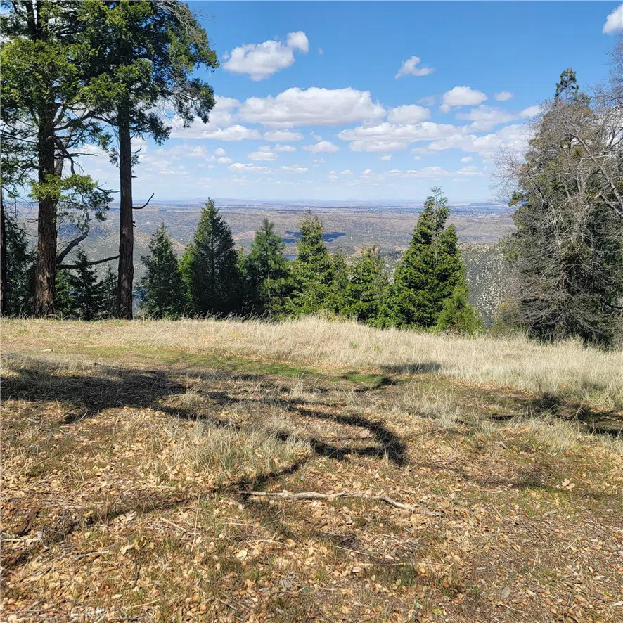 3430247 Mojave View Drive Cedarpines Park, CA 92322