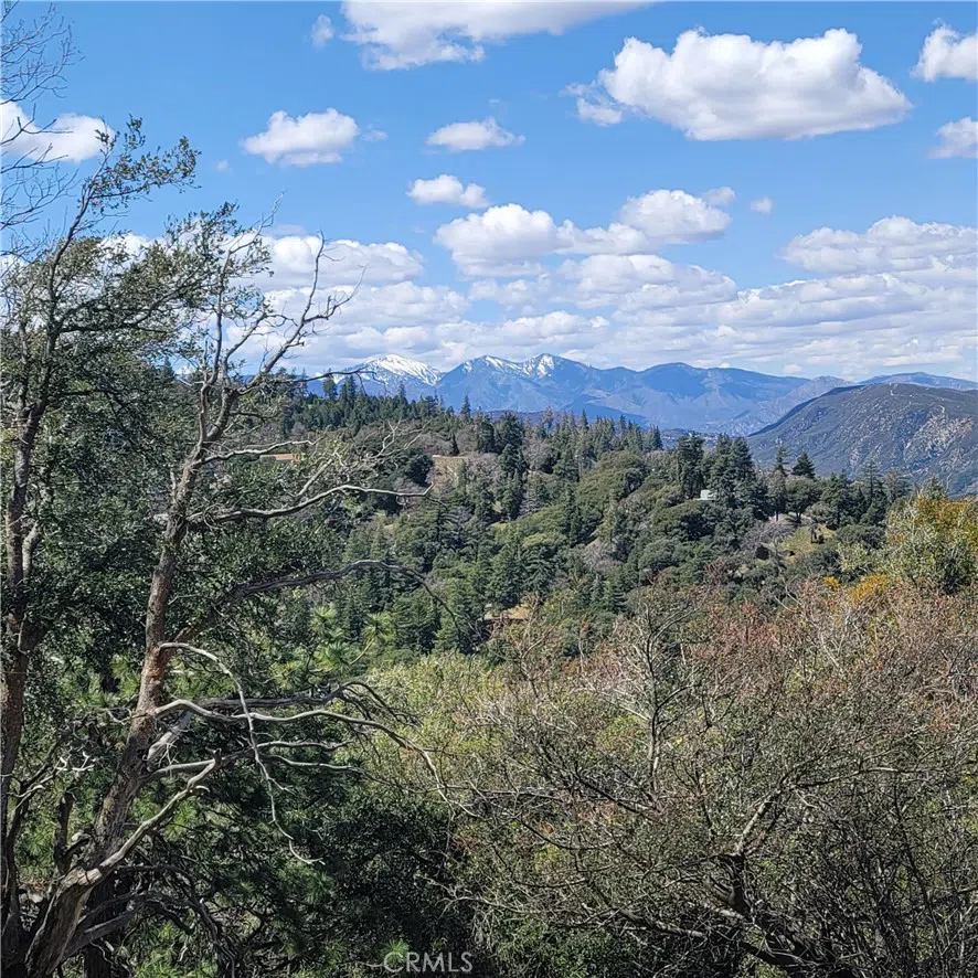 3430247 Mojave View Drive Cedarpines Park, CA 92322