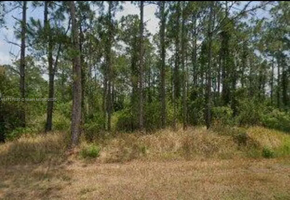 5112 Manati Ave. Sebring, FL 33872