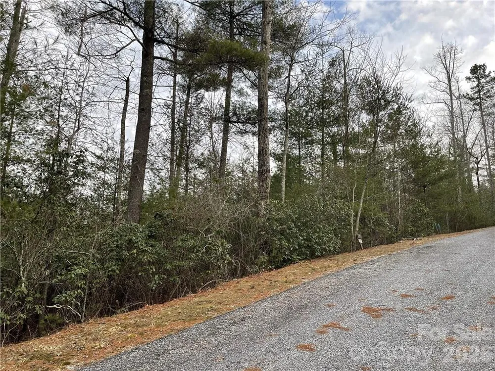 55 Boone Cove Road #71 Zirconia, NC 28790