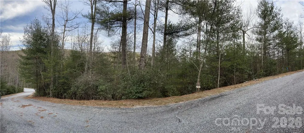 55 Boone Cove Road #71 Zirconia, NC 28790
