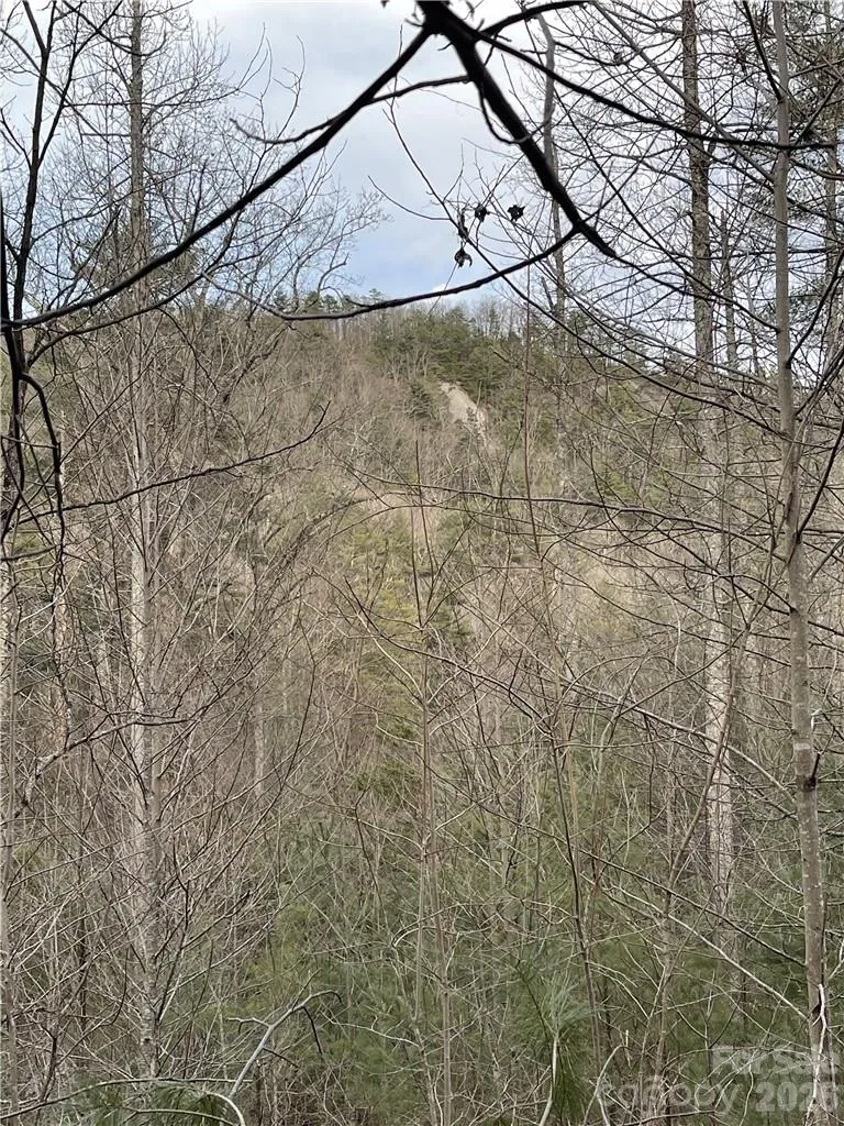 55 Boone Cove Road #71 Zirconia, NC 28790