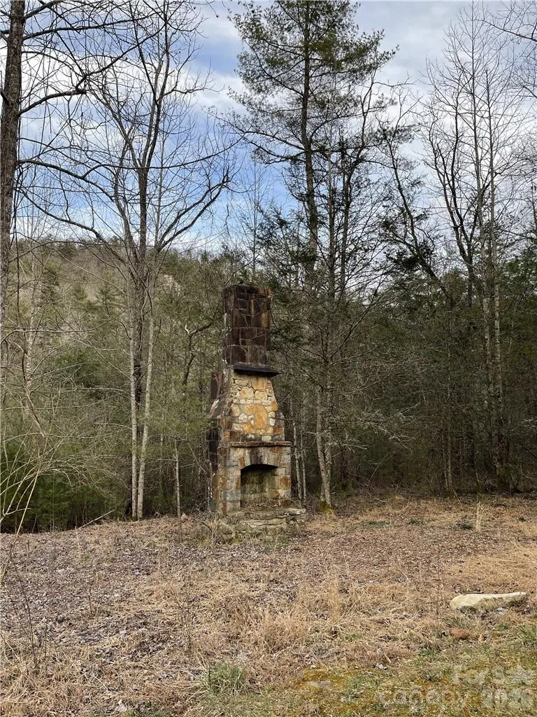 55 Boone Cove Road #71 Zirconia, NC 28790