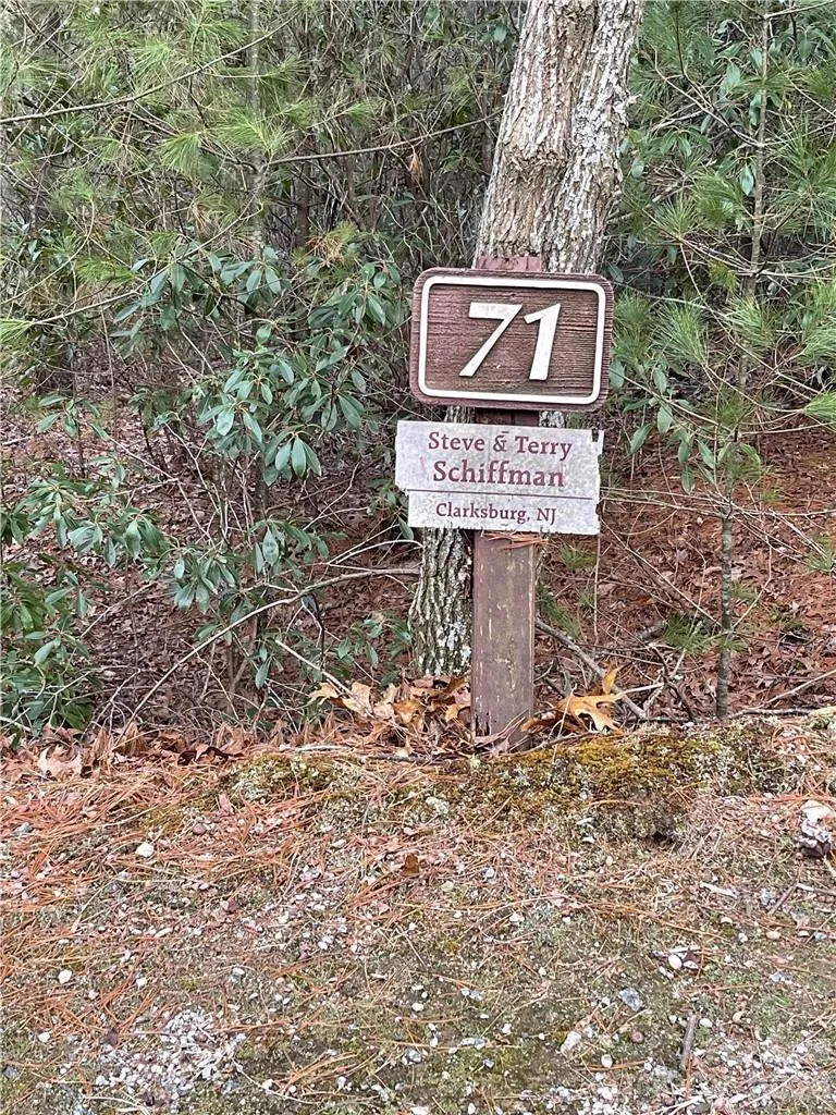 55 Boone Cove Road #71 Zirconia, NC 28790