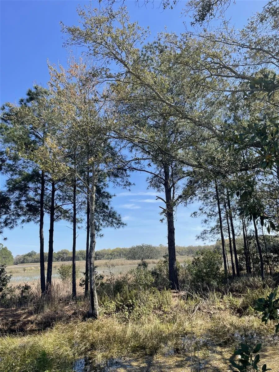 19100 COUNTY ROAD 33 Groveland, FL 34736