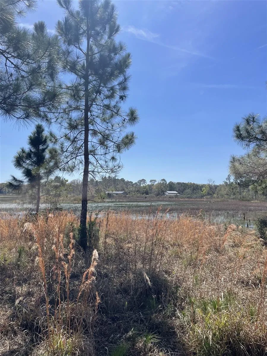 19100 COUNTY ROAD 33 Groveland, FL 34736