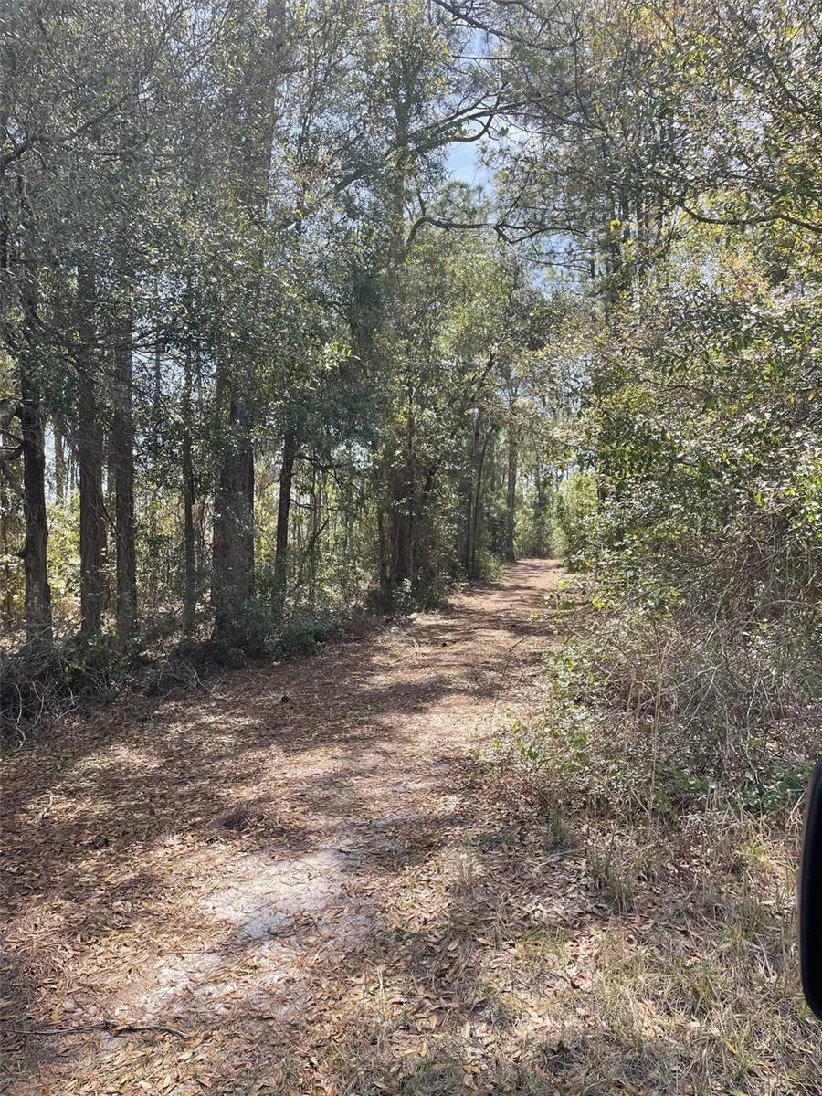 19100 COUNTY ROAD 33 Groveland, FL 34736
