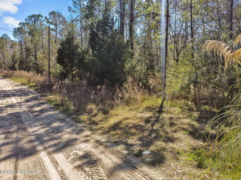 310 Clearview Drive Holly Ridge, NC 28445