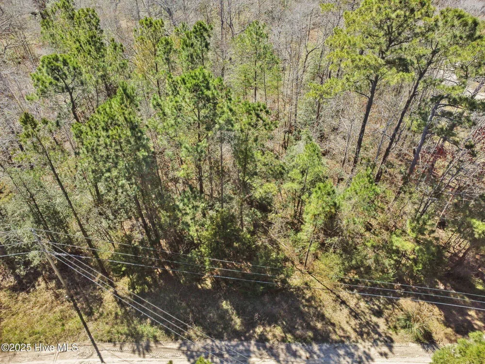 310 Clearview Drive Holly Ridge, NC 28445