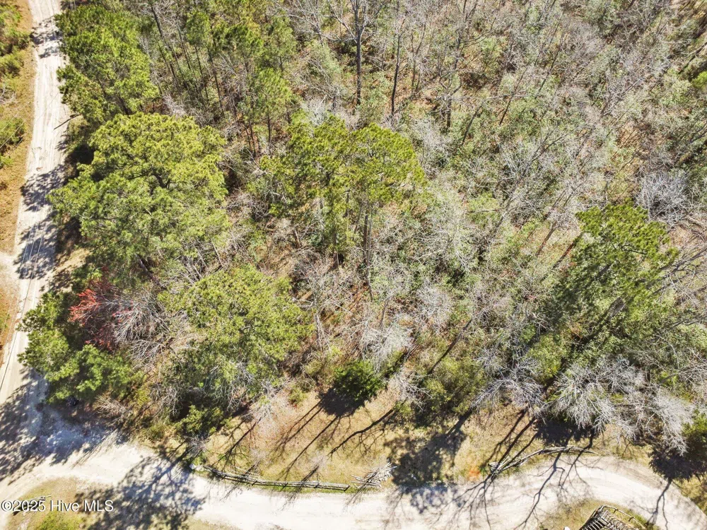 310 Clearview Drive Holly Ridge, NC 28445
