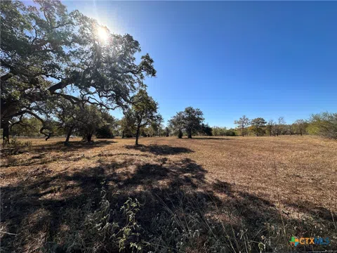 209 Mulberry-Tract B Road