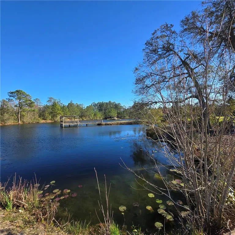 2606 Beechwood Drive Jesup, GA 31545
