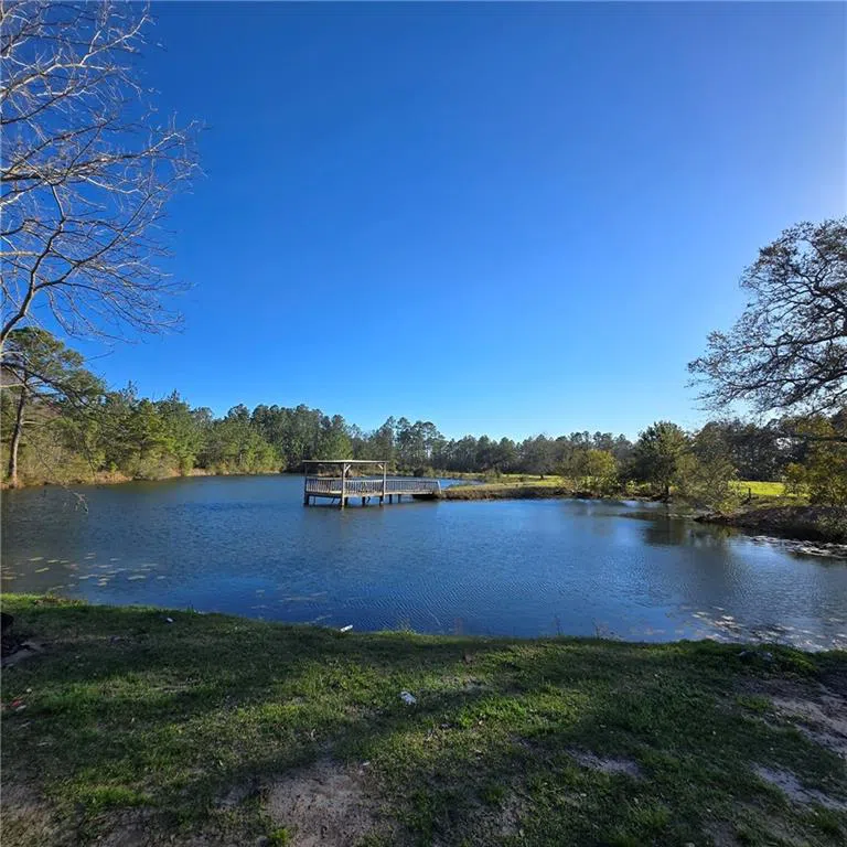 2606 Beechwood Drive Jesup, GA 31545