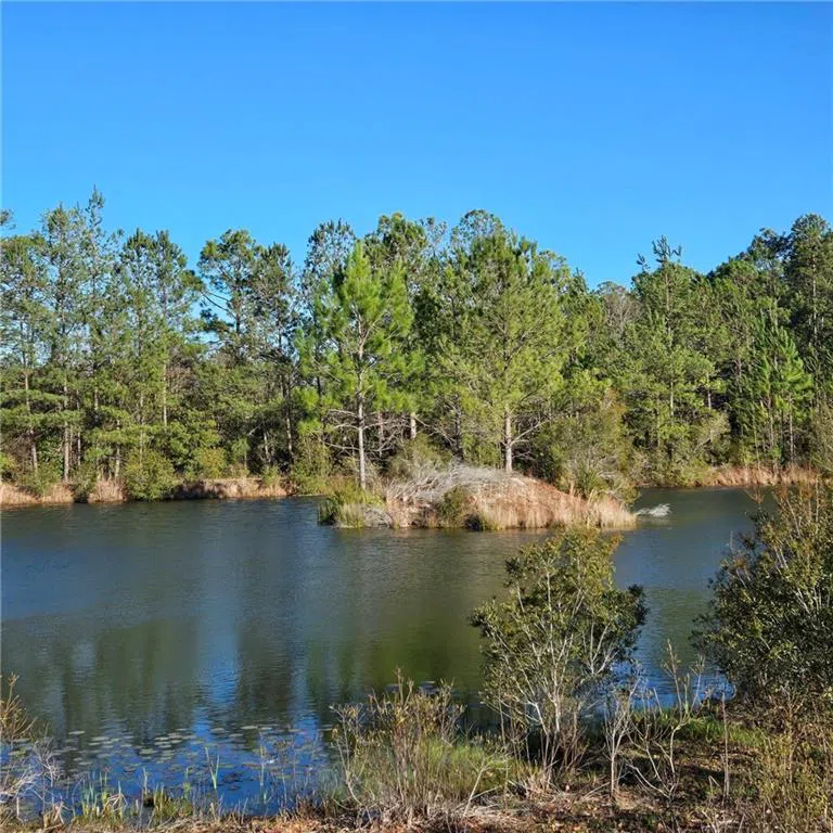 2606 Beechwood Drive Jesup, GA 31545