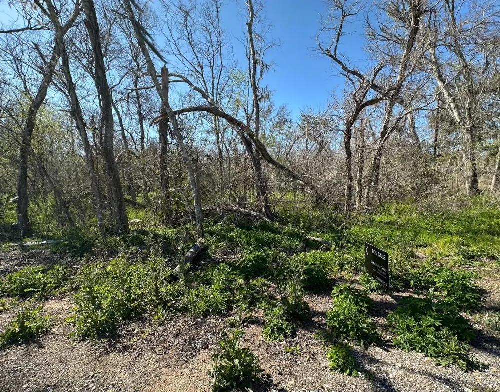 Tbd Cr 703 West Columbia, TX 77486